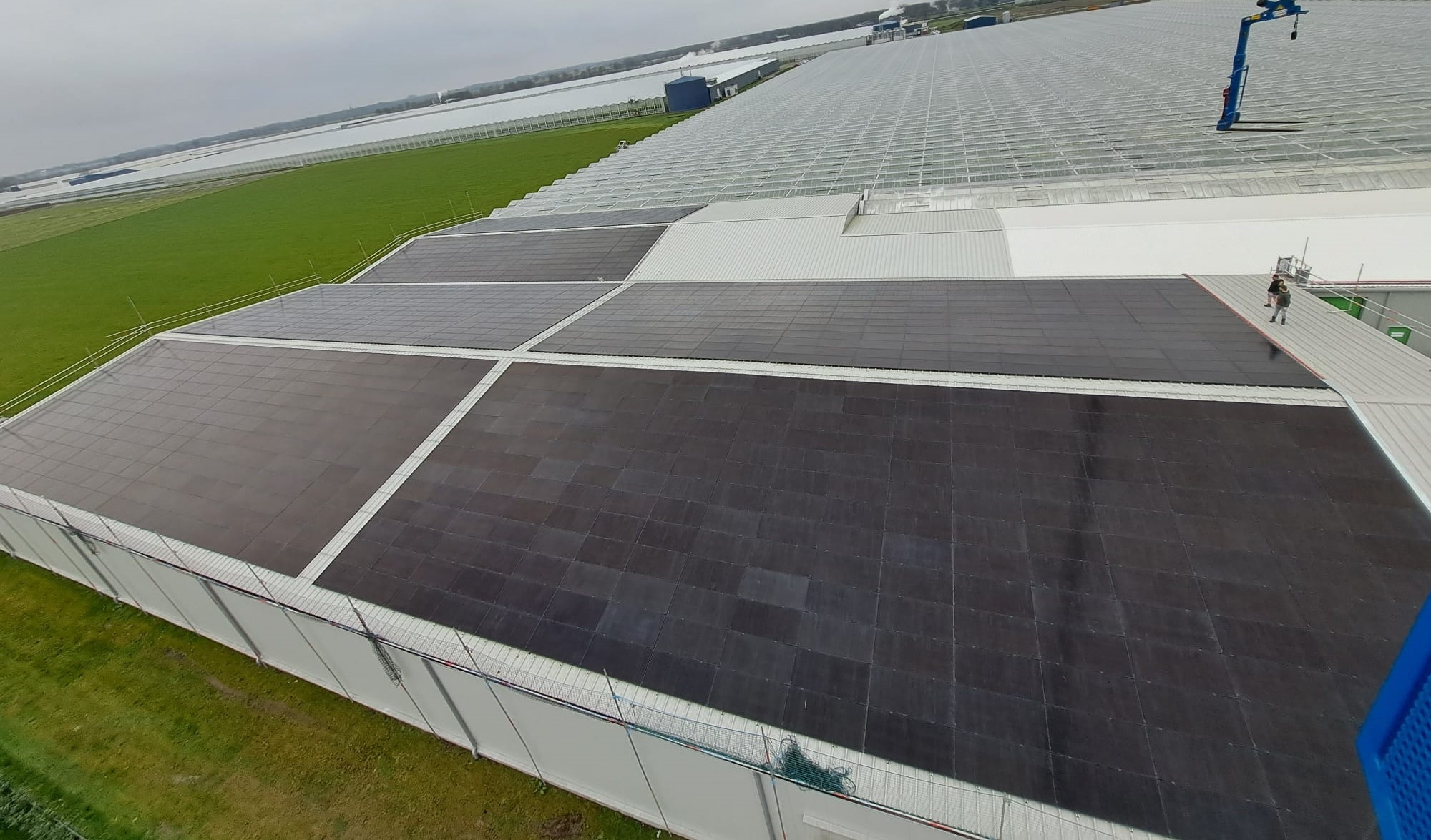 1250 zonnepanelen Sweet Lions